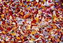 Untitled%20-%201973 (thumbnail)