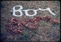 Concrete%20Leaves%20For%20-%201977 (thumbnail)