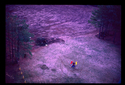 FOR%20Watchtower%20-%201978 (thumbnail)