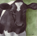 Cow%20No.%2026-55%20-%20SOLD (thumbnail)
