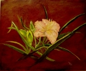 Peach Lily Peach%20Lily (thumbnail)