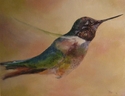 Kolibiri%20%22Sweet%20Hummingbird%22 (thumbnail)