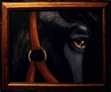 %22Soul%20of%20a%20Horse%22 (thumbnail)