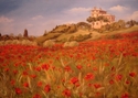 "Field of Poppy's" %22Field%20of%20Poppy%27s%22%20 (thumbnail)
