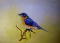 %22Little%20Blue%20Bird%22 (thumbnail)