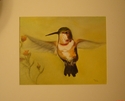 %22Lil%20Hummingbird%22 (thumbnail)