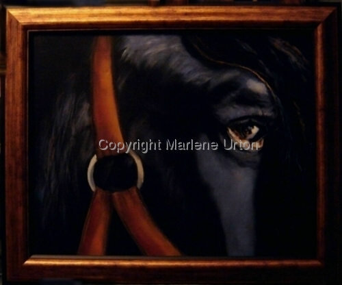 %22Soul%20of%20a%20Horse%22 (large view)