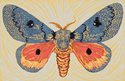 Moth Two