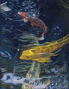 Koi Study # 5