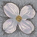 Dogwood Flower #1
