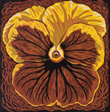 Yellow Pansy