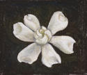Gardenia