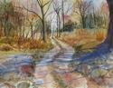 Mary Edwards - Landscape Painting Wilderness by Mary Edwards Watercolors, People Pets and Places You Love by Outer Banks artist Mary Edwards, - Landscape Painting