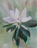 Painting--Watercolor-BotanicalCalling