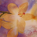 Painting--Watercolor-BotanicalSpilling Over