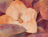 Painting--Watercolor-BotanicalFading Beauty