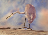 Painting--Watercolor-BotanicalFishing