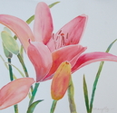 Painting--Watercolor-BotanicalWhile on Retreat