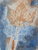 Print Making--Monoprint-AbstractMaple in Blue & Beige