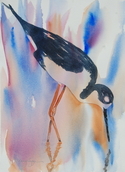 Mixed Media-Black Necked Stile II