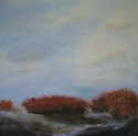 Trees and Shadows