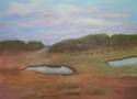 Pasture