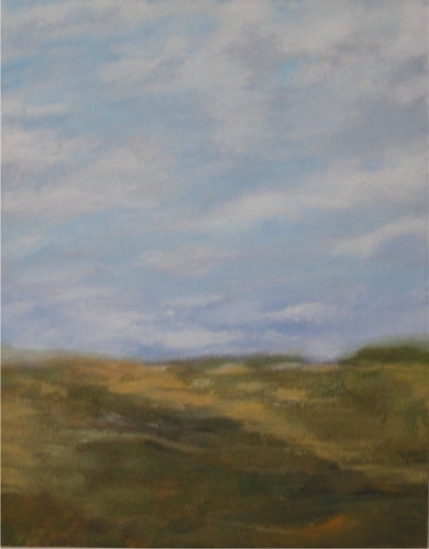 Grasslands III
