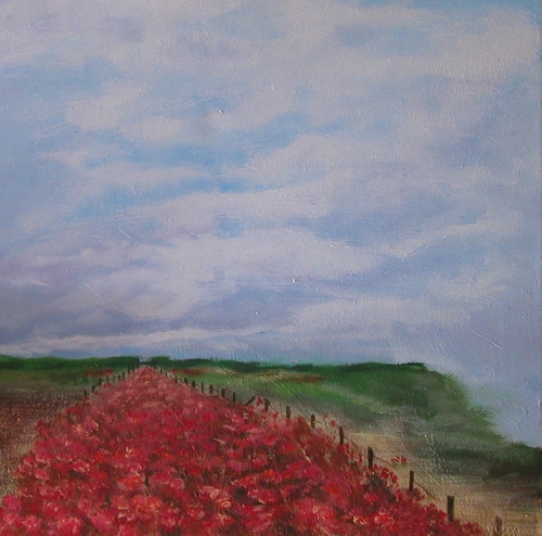 Poppy Pasture