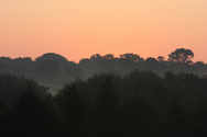 NATURESCAPES 