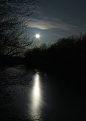NIGHTSCAPES