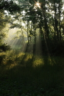 LIGHTSCAPES