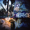 Venice Beach Graffiti- Friskoe
