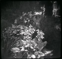 The Artist's  Garden