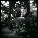 Buddha- Golden Gate Park