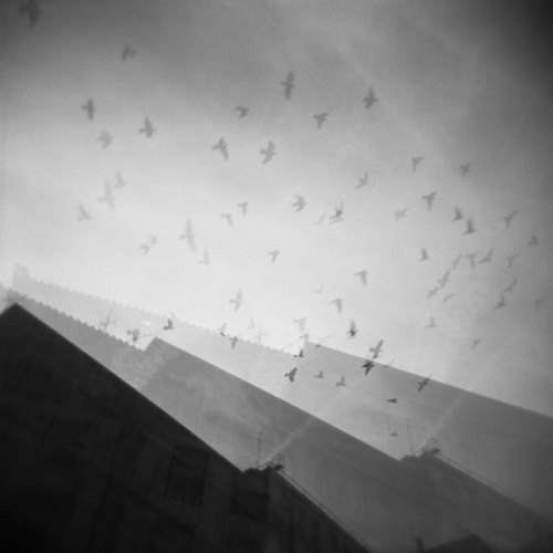 Photography-Black & White-Ascension