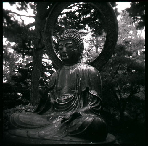 Photography-Black & White-Buddha- Golden Gate Park
