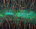Rushes & Reeds