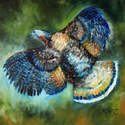 WILD TURKEY in FLIGHT