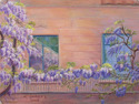 Wisteria