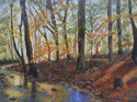 Bear Brook in Fall