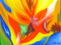 Tropical Flower