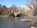 Gates Reflection with Bridge