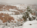 Snowy Bryce