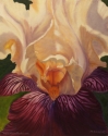 Iris, Up Close