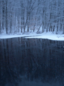 Winter Reflection