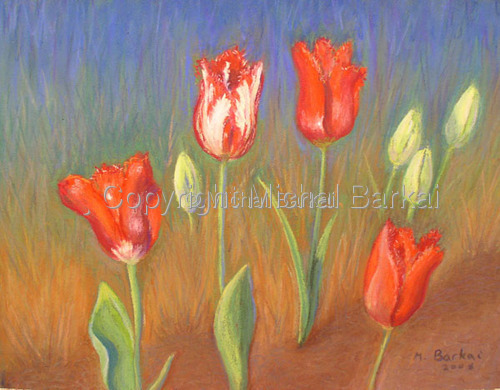 Tulips Dance