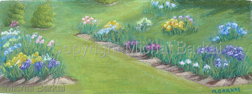 Iris Patch