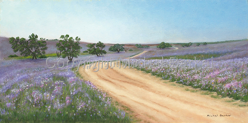 Negev Desert in Purple Bloom