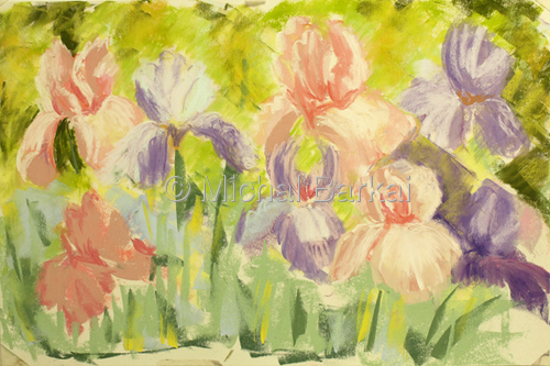 Pastel Irises, En Plein Air study