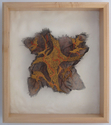 Fiber Art--Embroidery-AbstractMove